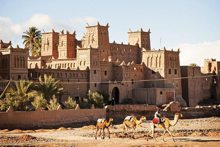 A day in Ouarzazate and Aït-ben-Haddou from Marrakech