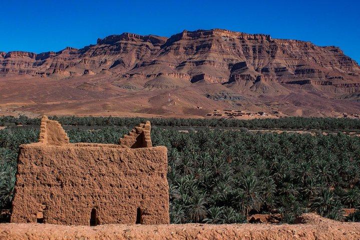 A day in Ouarzazate and Aït-ben-Haddou from Marrakech