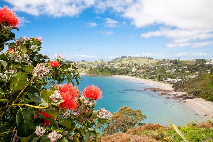 Half Day Waiheke Wine Tour