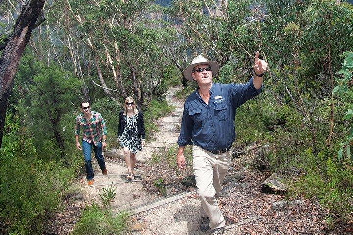Excursión de un día a las Montañas Azules con paseos por arbustos, cascadas y Featherdale