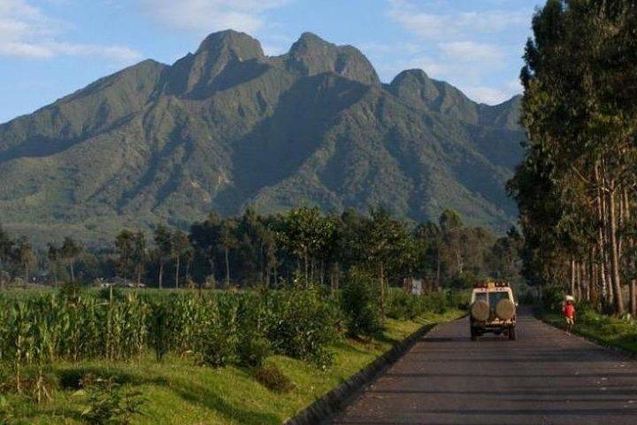 Transfert privé aller simple de Kigali à Musanze. Rwanda