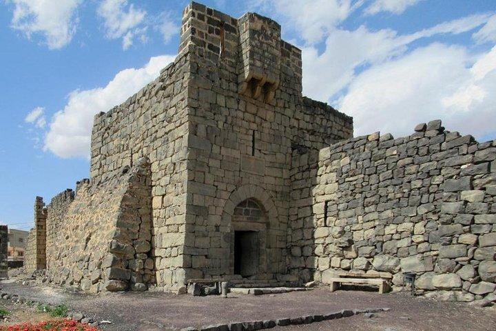 Excursão a Desert Castles & Azraq Wetland Reserve