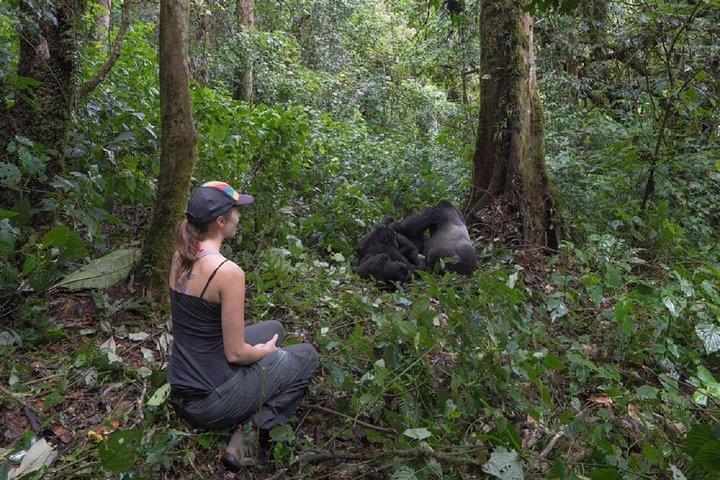 Oeganda: 10-daagse mid-range Wildlife, Big-Five, Gorilla Safari