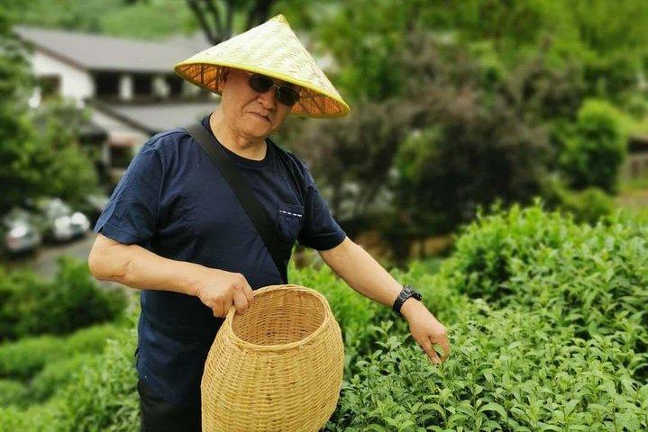 Hangzhou Authentic Longjing Tea Culture Experience Tour