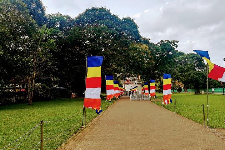 Private One day Tour to the Last remaining Kingdom "Kandy" in Sri Lanka.