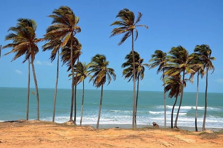 Lagoinha Beach Tour