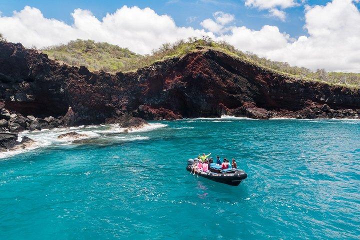 Mulher Snorkeling: Batendo a multidão para Kealakekua Bay