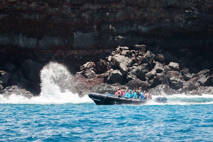 Mulher Snorkeling: Batendo a multidão para Kealakekua Bay