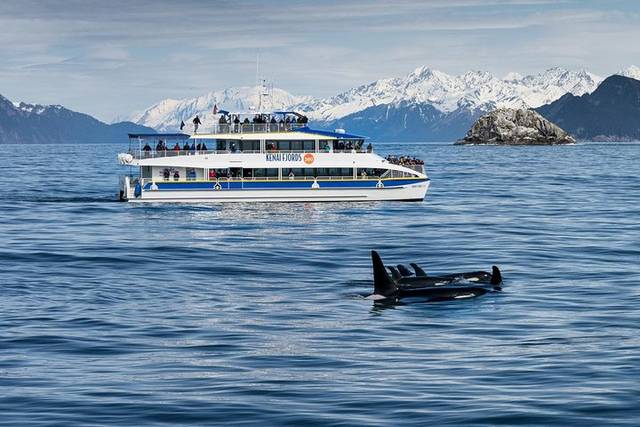 Kenai Fjords