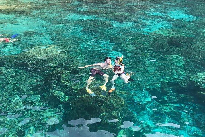 Mulher Snorkeling: Batendo a multidão para Kealakekua Bay