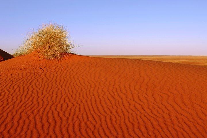 Adelaide til Coober Pedy 7-dages lille gruppe 4WD Eco Safari