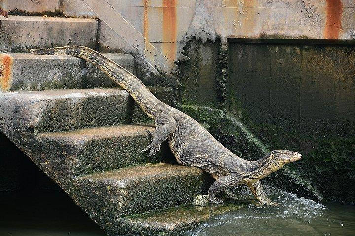 Zeitlose Thonburi-Kanal- und Essenstour