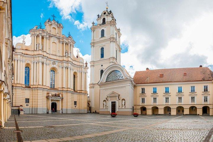 Excursion d'une journée à Vilnius ou transfert aéroport