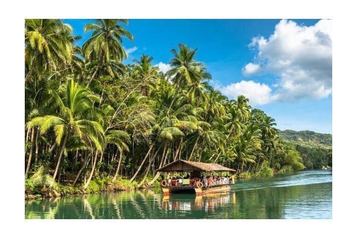 Tour delle colline del cioccolato con pranzo a buffet sul fiume Tarsier e Loboc (tour di mezza giornata)