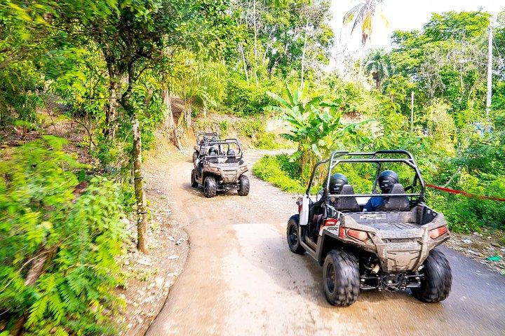 Triplo divertimento! Monkeyland + Damajagua Waterfalls + Buggy da Puerto Plata