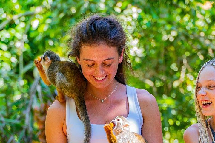 Triplo divertimento! Monkeyland + Damajagua Waterfalls + Buggy da Puerto Plata