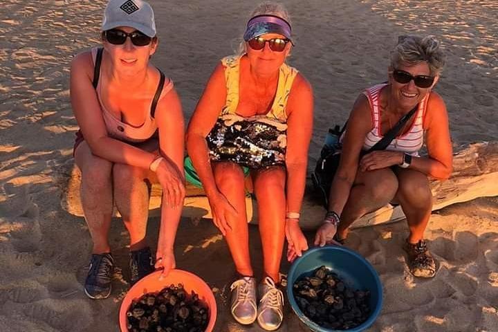 Fantastisk Turtle Release Tour
