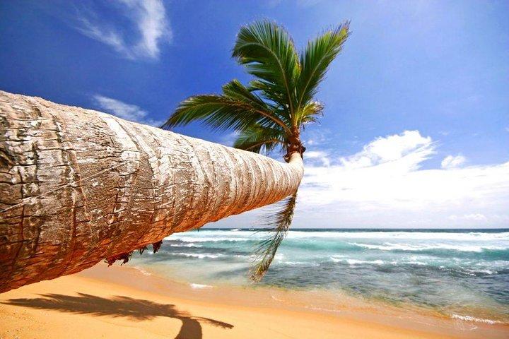 "Galle" Eendaagse privétour in Sri Lanka