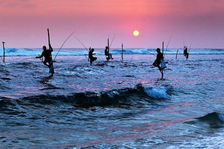 "Galle" Eendaagse privétour in Sri Lanka