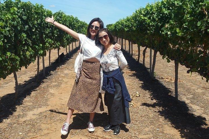 VIP Swan Valley Wine Tour - Premium Small Group Wine & Gourmet Experience