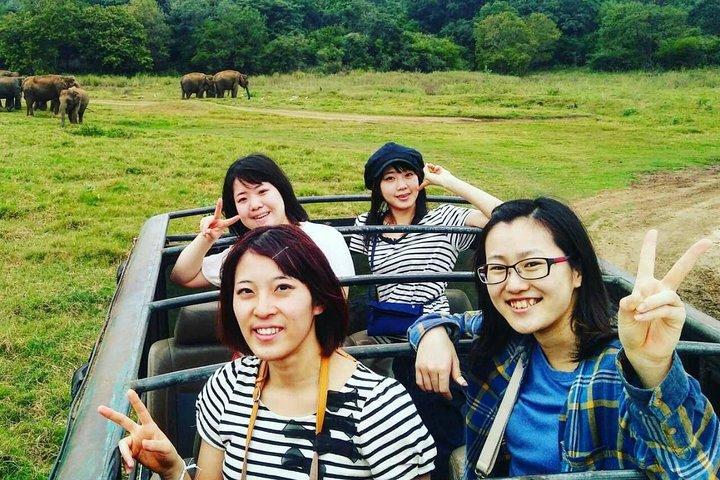 プライベートミネリヤ国立公園サファリとホタルの照明ツアー