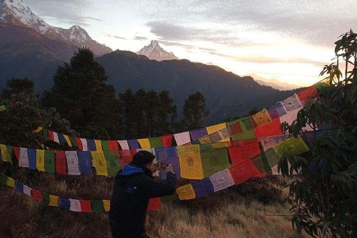 4 Days Annapurna Poonhill Trekking from Pokhara, Nepal