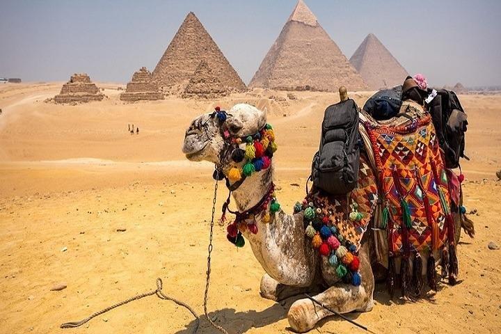 3-daagse Cairo en Alexandria Tours inclusief de toegangsprijzen