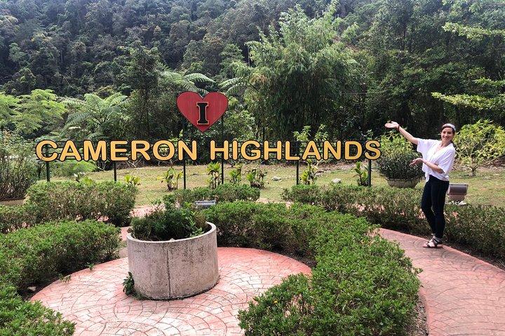 Geführte Cameron Highland Day Tour von Kuala Lumpur (Privatbasis)