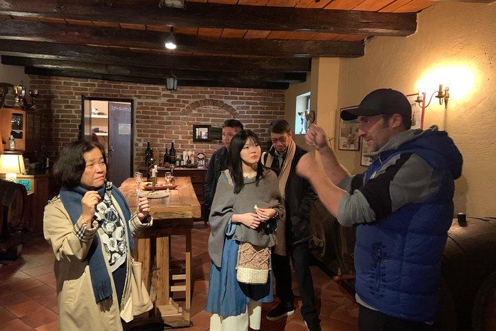 Private Wine Road Day Tour vanuit Zagreb