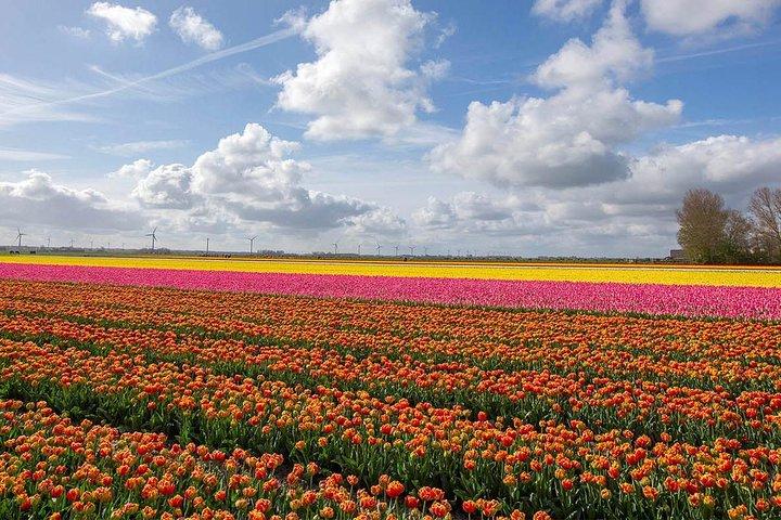 Privé transfer van Brussel naar Amsterdam