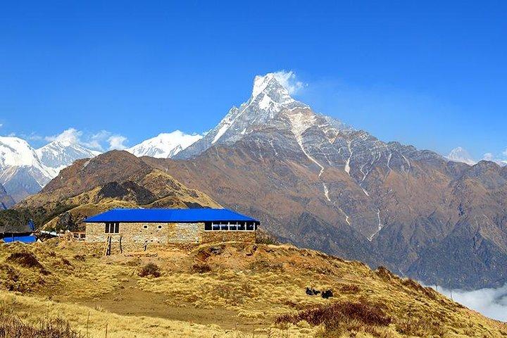 Mardi Himal Base Camp Trek