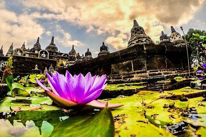 Tour privado instagramable de Bali