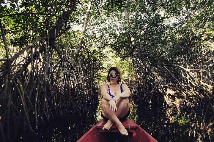 Excursion d'une journée entre mangroves, pêche et activités de plage de sable noir + déjeuner