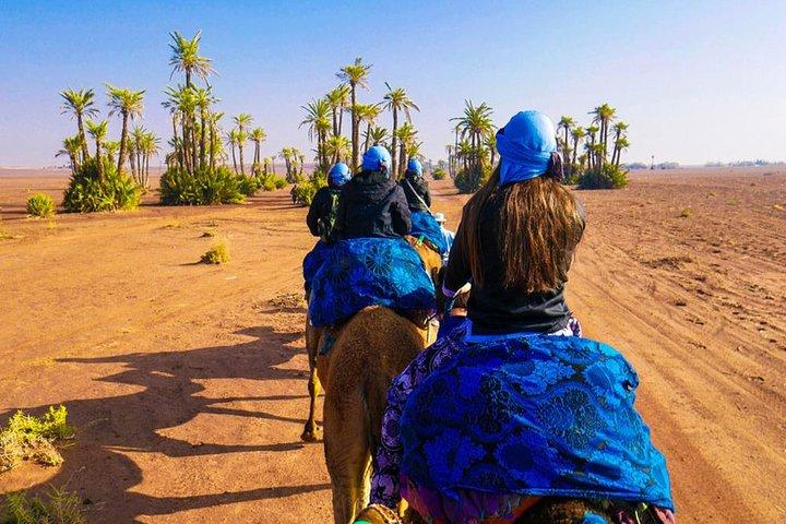 Camel ride through agafay desert