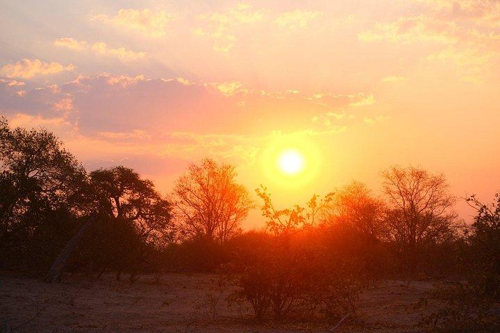 15 Day Mobile Camping Safari Botswana