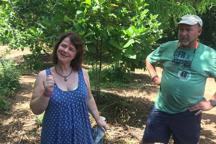 Spice Farm and Jozani Forest Private Tour