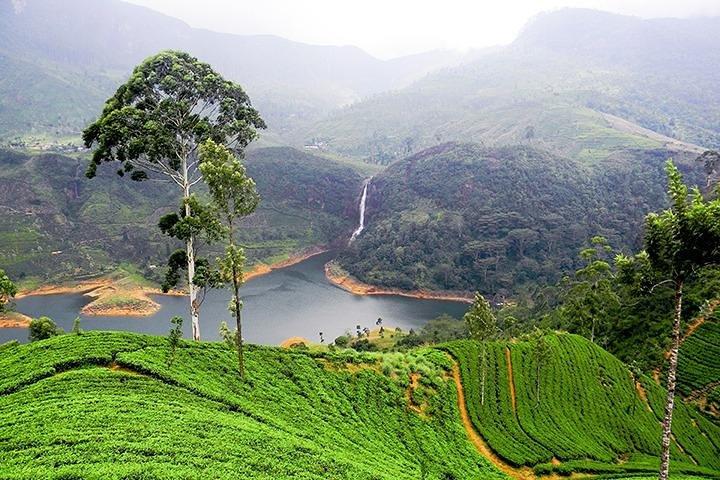 Sri Lanka Tour Packages with English Speaking Driver Guide and Car
