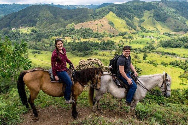 Cocora, Salento en Filandia Tour