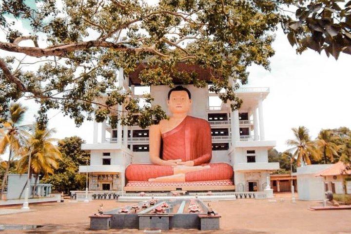 Udawalawe de Hikkaduwa (2 dias)