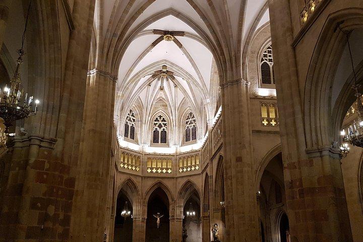 Rondleiding in het Spaans door de oude binnenstad van Bilbao en de kathedraal van Santiago