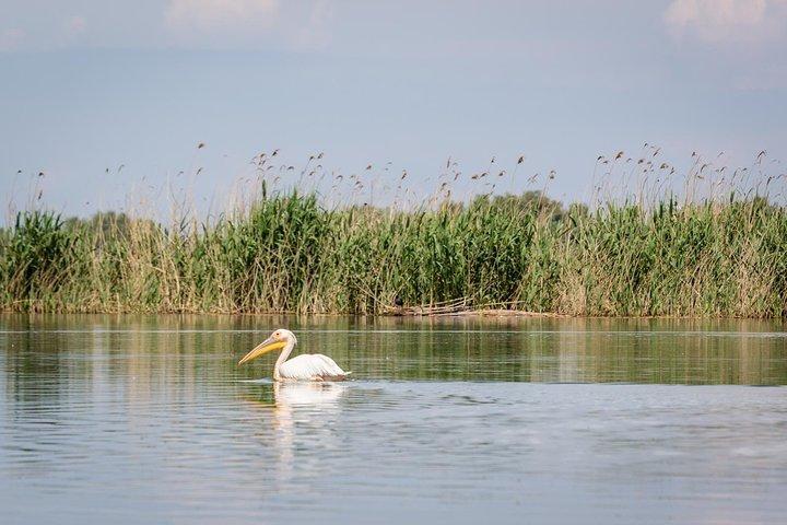 The Black Sea och Donau Delta Tour - 2 dagar
