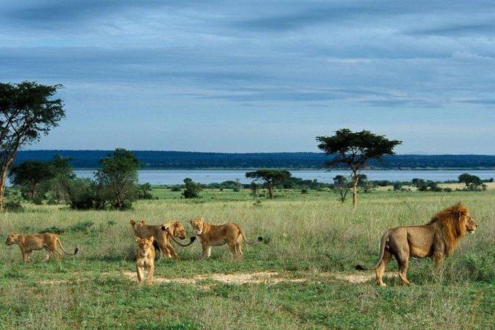 3 Days Murchison Falls - Budget