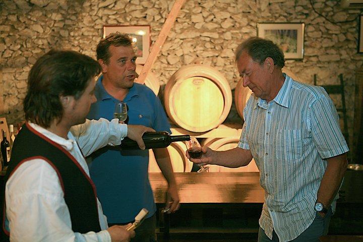 Private Sightseeing-Tour auf Korcula Island mit Weinprobe
