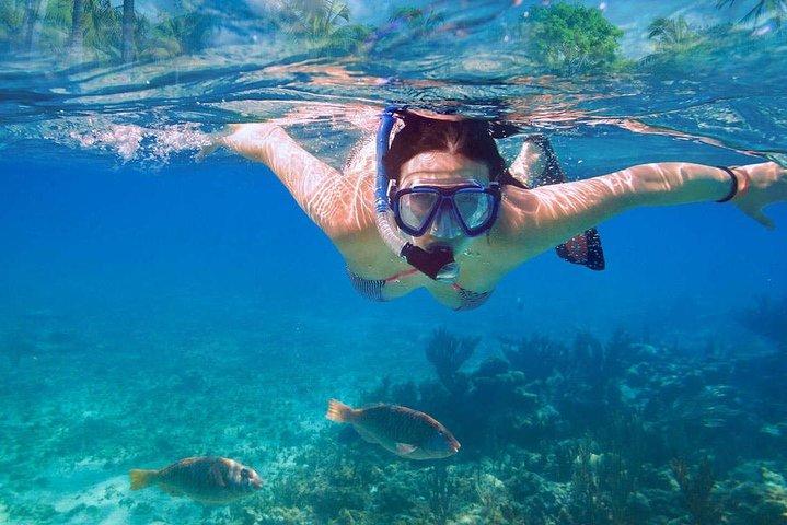 Catalina Island & Snorkeling Tour