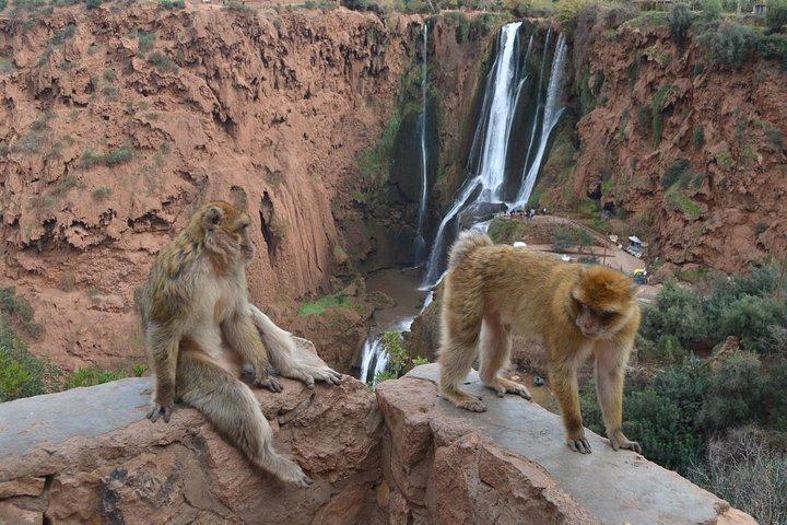Ouzoud Waterfull - Tagesausflug von Marrakesch