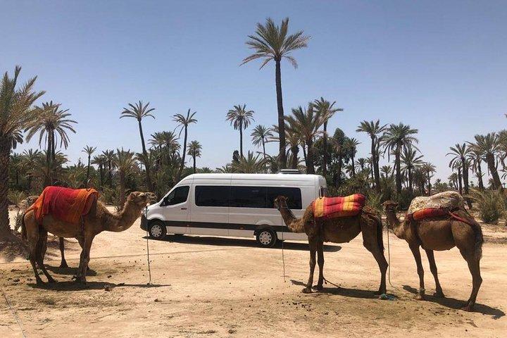 Private Transfer From Marrakech To Casablanca City