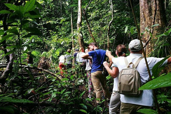 JungleWalla Langkawi Morgen Regenwald Wanderung
