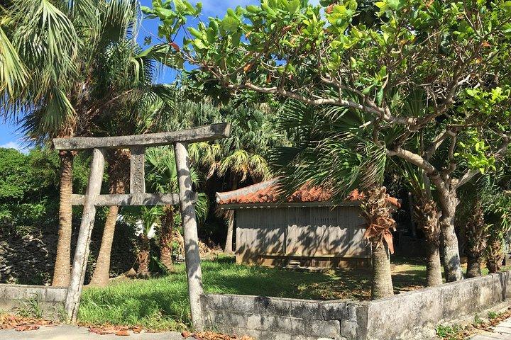Ontdekking van de Iriomote-cultuur. Inheemse cultuur op het eiland Iriomote