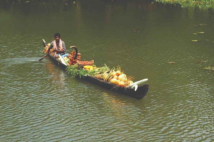 7 nuits Visite privée Cochin/Munnar/Thekkady/Houseboat/Kovalam
