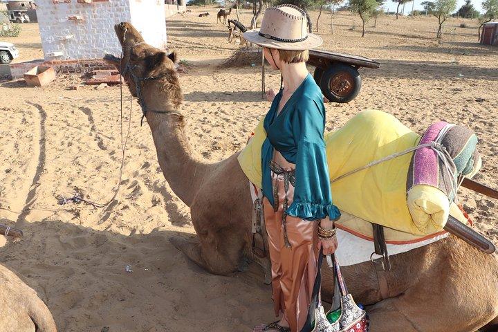 ジョードプル遺産を巡る終日デザートサファリ